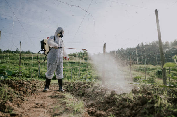 Pest Prevention Services in Industry, PA