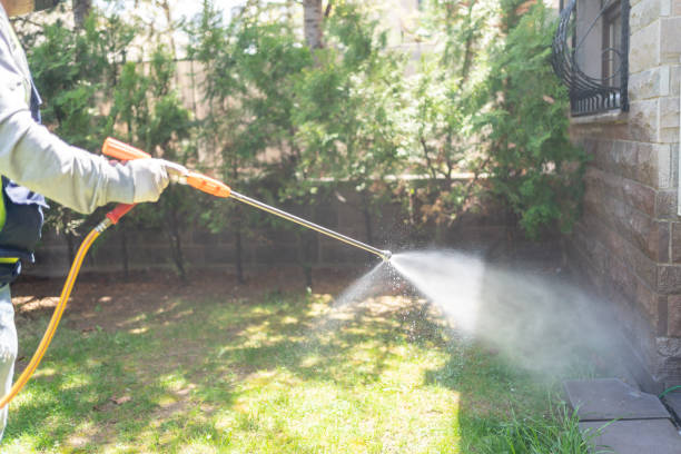 Best Affordable Pest Control Services  in Industry, PA