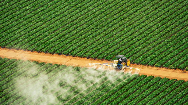 Best Pest Removal Services  in Industry, PA